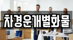 차경운개별화물