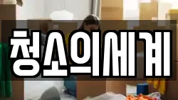 청소의세계