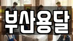 부산용달