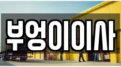 부엉이이사