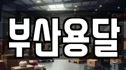 부산용달