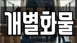 개별화물