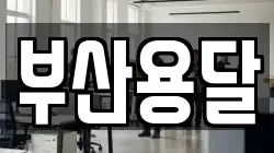 부산용달