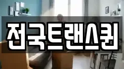 전국트랜스퀸