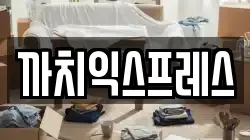 까치익스프레스