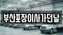 부산포장이사가던날