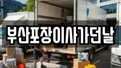 부산포장이사가던날