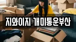 지와이지 개미통운부산