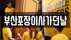 부산포장이사가던날