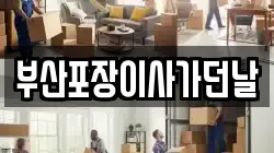 부산포장이사가던날