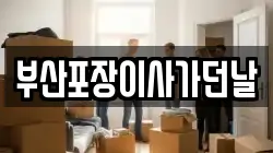 부산포장이사가던날
