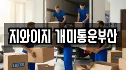 지와이지 개미통운부산