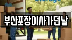 부산포장이사가던날