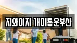 지와이지 개미통운부산
