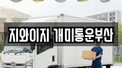 지와이지 개미통운부산