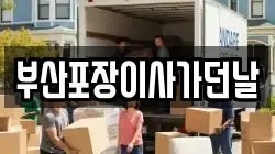 부산포장이사가던날