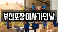 부산포장이사가던날