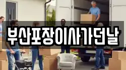 부산포장이사가던날