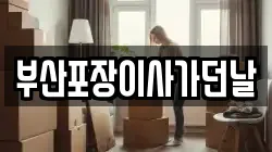 부산포장이사가던날