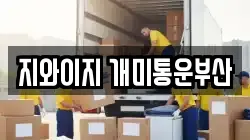 지와이지 개미통운부산