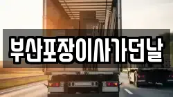 부산포장이사가던날