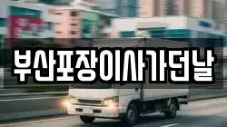 부산포장이사가던날
