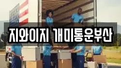 지와이지 개미통운부산
