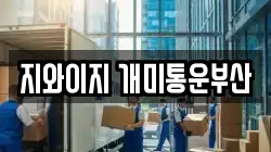 지와이지 개미통운부산