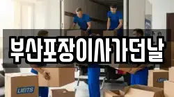 부산포장이사가던날
