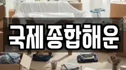 국제종합해운