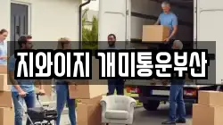 지와이지 개미통운부산
