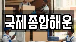 국제종합해운