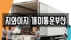 지와이지 개미통운부산