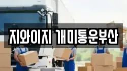 지와이지 개미통운부산