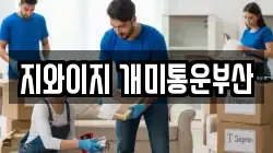 지와이지 개미통운부산