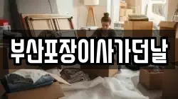 부산포장이사가던날