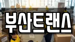 부산트랜스
