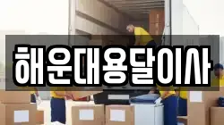 해운대용달이사