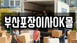부산포장이사OK몰