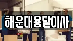해운대용달이사