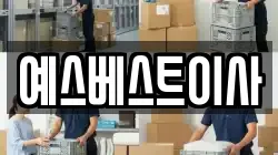 예스베스트이사