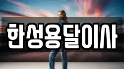 한성용달이사
