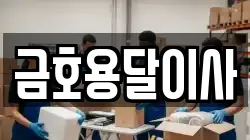 금호용달이사