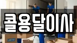 콜용달이사