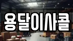 용달이사콜