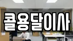 콜용달이사