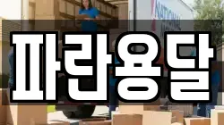 파란용달