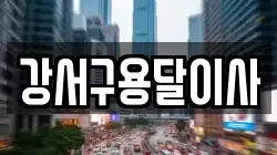 강서구용달이사
