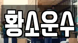 황소운수