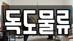 독도물류